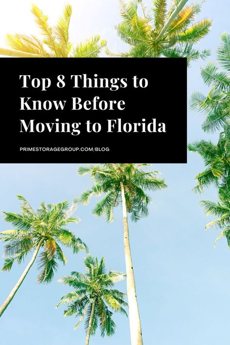 Planning a move to Florida? We gathered 8 things that you should know before your big move. Check out our blog to learn more! Moving To Florida Aesthetic, Move To Florida, Davenport Florida, Riverview Florida, Clermont Florida, Planning A Move, Ocala Florida, Treasure Coast, Moving To Florida