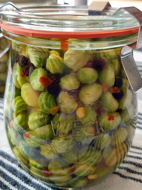 Pickled Nasturtium Seeds aka poor man's capers. Full recipe in the link. Our garden full of nasturtiums was just going over and what I thought would be a quick tidy, turned into a full day pulling up all the nasturtiums and collecting the seeds. I love peppery nasturtium flowers in salads but I'd never had a big enough crop to pick the seeds until this year. So pick I did! Then I brined and pickled. ⁠ I'm looking forward to pickled nasturtium seeds in salads, pasta and who knows what else. ⁠ People Taking Photos, Edible Flowers Recipes, Wild Food Foraging, Foraging Recipes, Foraged Food, Fermentation Recipes, Pickled Veggies, Meals In A Jar, Garden Recipes