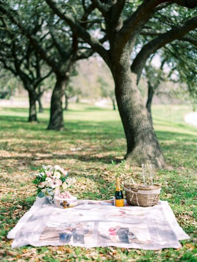 A blanket with the couple's photos: http://www.stylemepretty.com/2015/04/13/romantic-surprise-proposal/ | Photography: Dana Fernandez - http://www.danafernandezphotography.com/ Proposal Ideas Picnic, Outside Proposal Ideas, Proposal Ideas Unique Creative, Picnic Proposal Ideas, Outdoor Proposal Ideas, Vineyard Proposal, Picnic Surprise, Surprise Proposal Pictures, Picnic Proposal