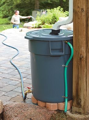 Diy Rain Barrel, Shed Inspiration, Barrels Diy, Water Collection, Rain Barrel, Rain Water Collection, Garden Yard Ideas, Backyard Projects, Veggie Garden