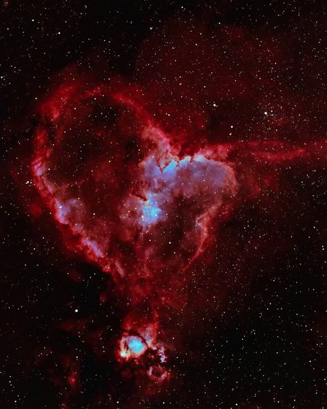 Diana on Instagram: “Two Hearts and a Fish 🐟 The Heart Nebula, formally known as IC 1805, in the constellation Cassiopeia is about 7,500 light years away I'm…” Corazon Wallpaper, Heart Nebula, Printable Wall Collage, Hitchhikers Guide, Ideal Life, Aesthetic Space, Space Stars, Light Year, Two Hearts