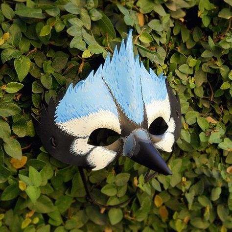 Blue Jay Bird Leather Mask Mountain Bluebird Animal Light Sky Blue Black White Plumage Little Bird M Blue Jays Outfit, Bird Masquerade, Animals Mask, Bird Makeup, Animal Light, Mountain Bluebird, Bird Mask, Blue Jay Bird, Bird Costume