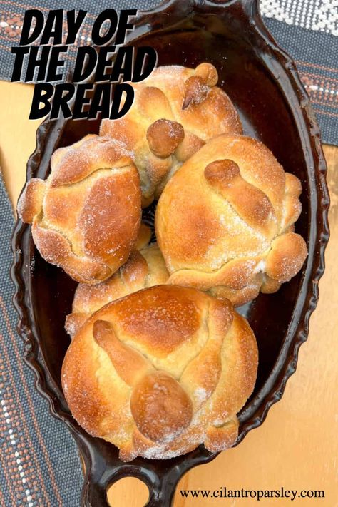 This Day of the Dead Bread Recipe, or Pan de Muerto, is a traditional Mexican bread made during the celebration of Dia de los Muertos. Day Of The Dead Bread Recipe, Dead Bread Recipe, Day Of The Dead Bread, Bread Of The Dead, Cilantro Parsley, Mexican Day Of The Dead, Mexican Bread, Honey And Soy Sauce, Honey Soy