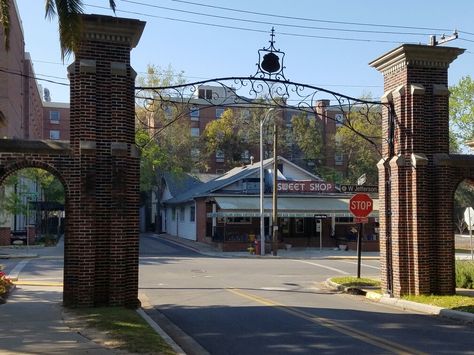 South Gate, North Florida, Sweet Shop, Grad Photos, Grad School, Gate, University, Florida, Leon