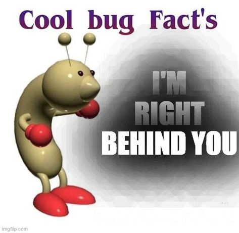 Cool Bug Facts, Bug Facts, Disgusting Humor, Terrible Memes, Tv Static, Learn Something New Everyday, Cool Bugs, You Meme, Silly Images