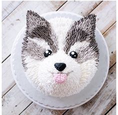 Husky cake Husky Cake Design, Husky Party Ideas, Husky Dog Cake, Husky Cake Ideas, Cute Dog Cake Designs, Wolf Cakes For Kids, Husky Birthday Cake, Wolf Cake Ideas, Dog Cake Design Ideas