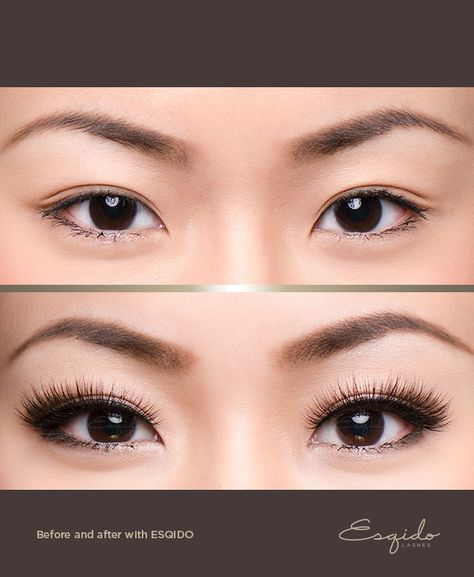 Mascara Tricks, Mink Eyelash Extensions, Diy Eyelash Extensions, Black Lashes, Mascara Tips, Long Lashes, Asian Makeup, Natural Lashes, Mink Eyelashes