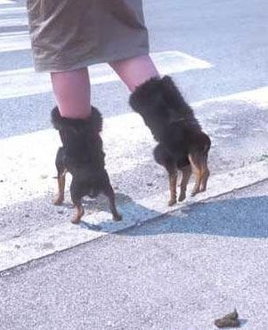 I think her "dog" boots just took a dump on the sidewalk. Do you think she carries poop bags? Funny Walmart Pictures, Weird Shoes, Funny Shoes, Walmart Funny, Average Girl, Girls Diary, Ugly Shoes, Funky Shoes, Dog Shoes