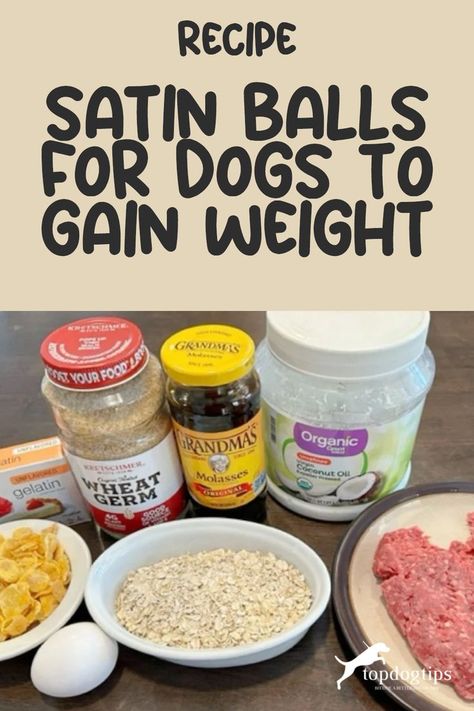 Satin Balls Magic: The Yummy Weight-Gain Recipe for Pups! Recipes For Weight Gain, Weight Gain For Dogs, Foods For Weight Gain, Satin Balls, Healthy Weight Gain Foods, Homemade Cat Food, Make Dog Food, Weight Gain Meals, Dog Foods