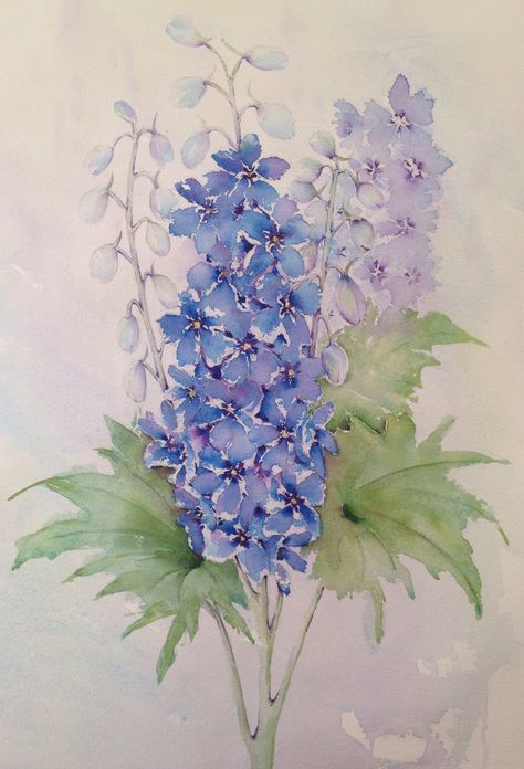 Watercolour delphiniums Plant Activities, Delphinium Flowers, Botanical Line Drawing, Wildflower Paintings, Watercolor Flowers Tutorial, Art Tutorials Watercolor, Lily Painting, Watercolor Poppies, Watercolor Flowers Paintings