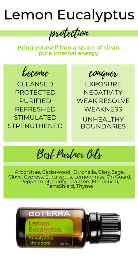 Despite its name, Lemon Eucalyptus is not a citrus and it comes from a different tree than Eucalyptus oil. #thisoiljourney #doterra #lemoneucalyptus Emotions And Essential Oils, Essential Oils Properties, Terra Essential Oils, Essential Oil Roller Bottle Recipes, Doterra Diffuser Blends, Essential Oil Combinations, Doterra Essential Oils Recipes, Essential Oil Remedy, Lemon Eucalyptus