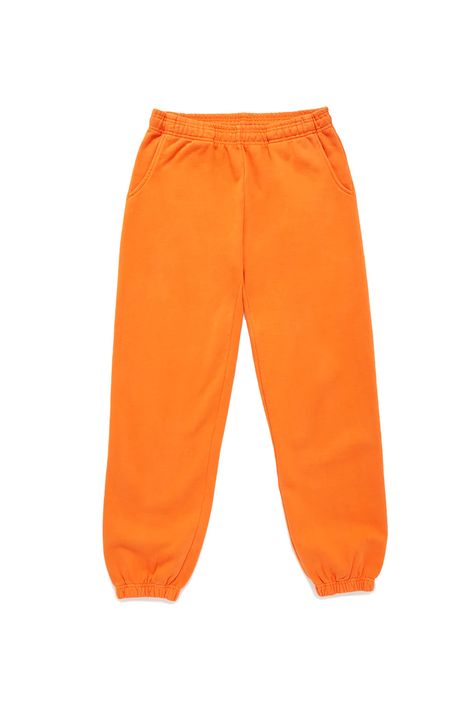 Dream Tiger, Colored Sweatpants, Orange Sweatpants, Orange Joggers, Orange Gifts, Winter Club, Rose Hoodie, Drawing Men, Oranges Gift