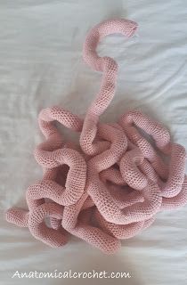 Crochet Intestines, Crochet Organs, Anatomical Crochet, Crochet Queen, Ostomy Bag, Small Intestine, College Projects, Digestive Tract, Art Help