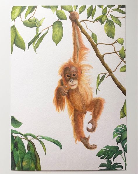 Cute Orangutan Drawing, Monkey Acrylic Painting, Orangutan Drawing, Orangutan Painting, Orangutan Art, Monkey Watercolor, Monkey Painting, Diy Watercolor Cards, Spring Nails 2023