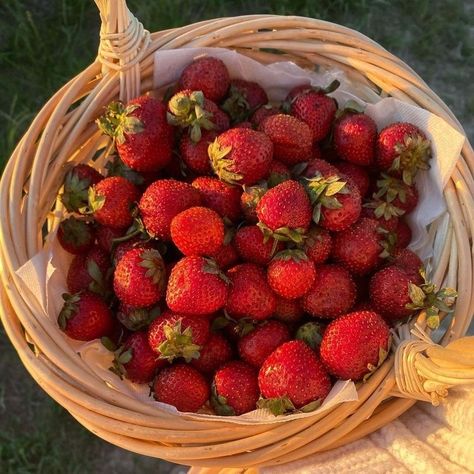 𝓙 on Twitter: "strawberries & pastries… " Fruit Icons, Strawberry Fields Forever, Strawberry Fields, Fruits Basket, I Want To Eat, Sweet Snacks, Strawberry Shortcake, Aesthetic Food, Nom Nom