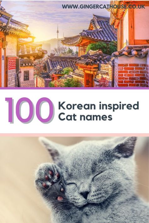 Click through to find the perfect name for your new pet. Search through over 100 Korean inspired pet names including K-pop Cat names, Korean food names, Korean language translations - all which make perfect cat names! #southkorea #koreanculture #kpop #catnames #petnames #catcare Korean Pet Names, Korean Cat Names, Pet Names For Cats, Korean Food Names, Badass Cat Names, Names For Male Cats, Ginger Cat Names, Kitten Names Girl, Grey Cat Names