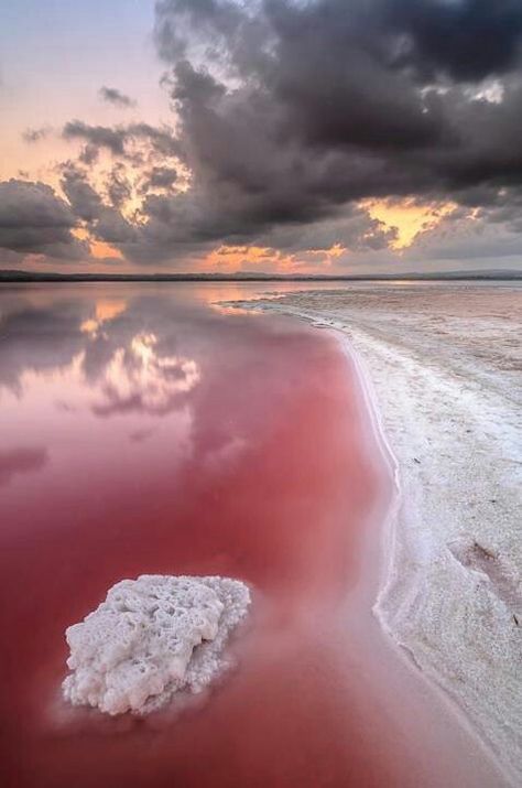 Pink Salt Lake, Senegal Lac Rose, Clouds In The Sky, Pink Lake, To Infinity And Beyond, Pretty Places, Amazing Nature, Natural Wonders, Land Scape, Beautiful World