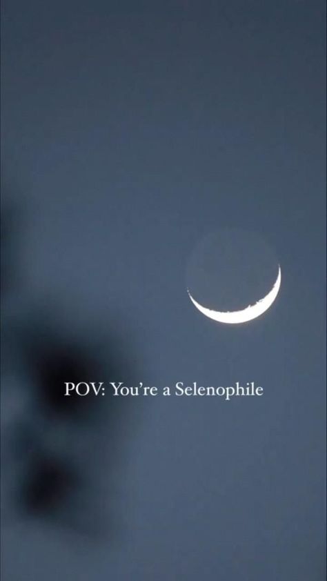 Selenophilia Aesthetic, Dark Study Wallpaper Aesthetic, Moon Quotes Video, Moon Vibes Aesthetic, Moon Aesthetic Video, Selenophile Aesthetic, Moon Lovers Quotes, Moon Clips, Moon Status