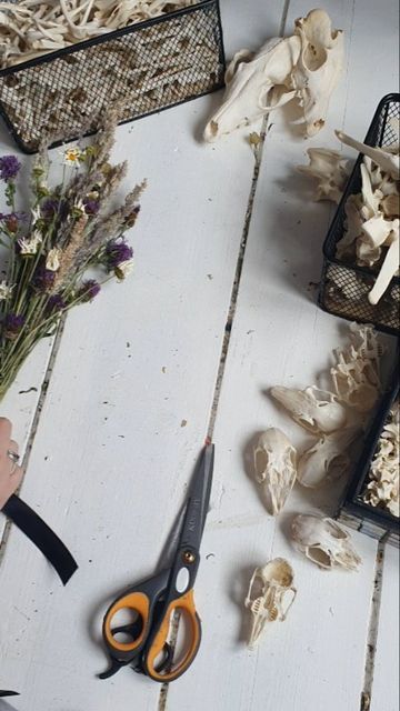 The Vulture's Cousin on Instagram: "Make a bone bouquet with me 🖤  #odditiesandcuriosities #curiosities #gothicart #darkartists #curiocabinet #boneart #vultureculture #bouquet #animalbones #driedflowers #wildflowers" Oddity Wedding, Bone Bouquet, Vulture Culture, Bone Art, Animal Bones, Gothic Art, Dried Flowers, Bouquets, Wild Flowers