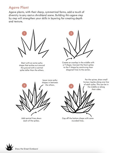 Pages from DRAW the GREAT OUTDOORS! Stoked I can finally share this with you. available for preorder. Only two months until it’s on shelves at a bookstore near you (Oct 22nd) ! If you want to see more pages, dm me and I’ll give you an exclusive sneak preview! #howtodraw #drawingtutorial #stepbystep #desert #cactus #drawings #lineart #drawthegreatoutdoors Saguaro Drawing, Desert Plants Drawing, Plants To Draw, Cactus Drawings, Leaf Outline, Desert Flowers, Agave Plant, Flower Sketches, Desert Cactus