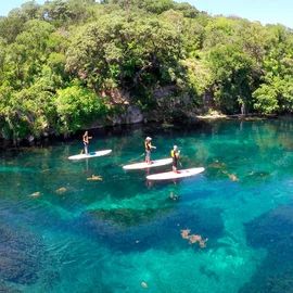 San Marcos River, Farm Vacation, Texas Destinations, Best Places To Retire, Texas Vacations, Texas Towns, Texas State University, College Town, Spring Lake