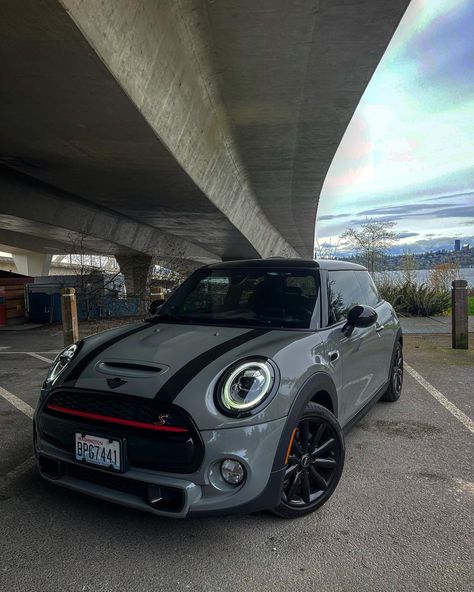 Earl Grey (Erik D) (@earlgrey.mini) posted on Instagram • Apr 5, 2021 at 9:32pm UTC Grey Mini Cooper, Mini Cooper D, Mini Cooper Custom, Mercer Island, Gray Aesthetic, Earl Gray, Mini Cooper S, Earl Grey, First Car