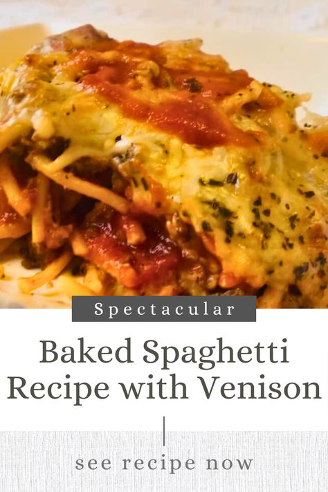 Spectacular Baked Spaghetti Recipe with Venison - Jessie's Venison Spaghetti, Deer Steak, Venison Meat, Baked Spaghetti Recipe, Ground Venison, Boiling Pasta, Deer Meat Recipes, Traditional Italian Dishes, Deer Meat