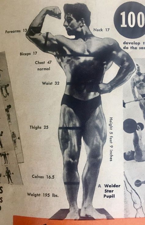 Reg Park Reg Park, Rita Hayworth, Anatomy, Bodybuilding, Male Sketch, Gym, Quick Saves