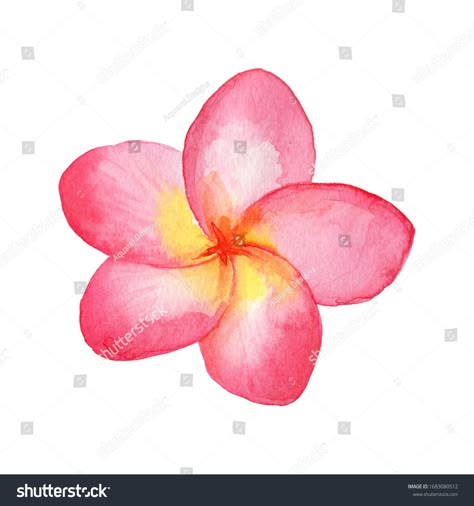 Flower Tropical Drawing, Watercolor Art Tropical, Hawaii Flowers Painting, How To Draw A Plumeria, Painted Tropical Flowers, Watercolor Hawaiian Flowers, Tropical Drawing Ideas, Tropical Flower Art, Watercolour Frangipani