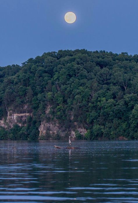 Moon over Lake of the Ozarks Alton Illinois, Lake Of The Ozarks, Moon Setting, Best Vacation Spots, Ozark Mountains, The Ozarks, Gods Creation, Best Vacations, Vacation Spots