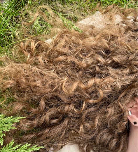 Curly Light Brown Hair, Crazy Curly Hair, Sandy Blonde Hair, Hair In The Wind, Brown Curly Hair, Blonde Curly Hair, Sandy Blonde, Dirty Blonde Hair, Hair Aesthetic