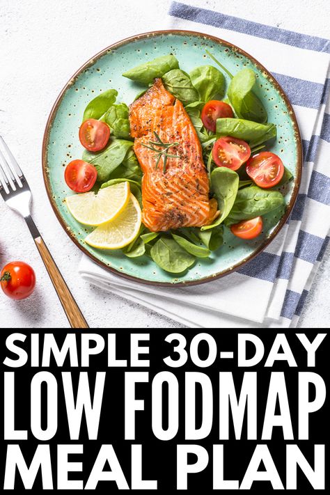 30-Day Low FODMAP Meal Plan for Beginners | If you’re looking for a simple guide to help you get started – and stay motivated – with the Low FODMAP diet, we’ve curated 30 days of breakfast, lunch, dinner, snack, and dessert recipes. With 120 easy Low FODMAP recipes to choose from, there are ideas to suit every palette and dietary need, including gluten free, vegetarian, and vegan recipes. We’ve even thrown in some crockpot & instant pot ideas for added convenience! #lowfodmap #lowfodmaprecipes Low Fodmap Meal Plan, Ibs Meals, Instant Pot Ideas, Fodmap Dinner Recipes, Easy Low Fodmap Recipes, Fodmap Dinner, Easy Low Fodmap, Gi Foods, Stomach Diet