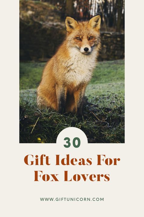 30 Gift Ideas For Fox Lovers Fox Gift Ideas, Smart Animals, Fox Lover, Fox Gift, 30 Gifts, Cute Fox, Birthday Gift For Him, Experience Gifts, Travel Lover