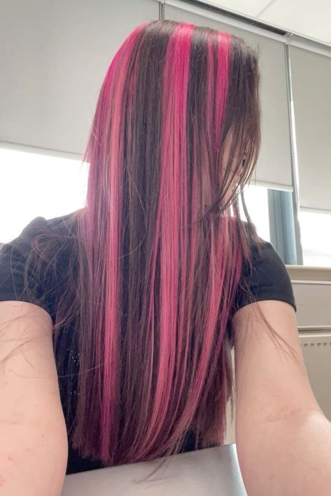 pink brunette black skunk hair highlights Skunk Chunky Highlights, Pink Skunk Hair, Black Hair Pink Highlights, Brown Hair Streaks, Draculaura Hair, Brown Hair With Pink Highlights, Brown And Pink Hair, Ginger Hair Dyed, Pink Hair Streaks