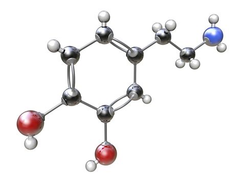 Chemical bonds Electron Affinity, Octet Rule, Science Cake, Chemical Bonds, Ionization Energy, Chemical Bonding, Ionic Bonding, Chemical Energy, Chemical Bond