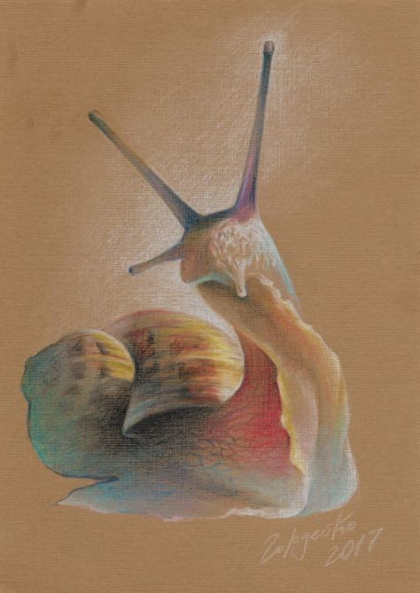 Snail Image, Snail Art, Portraiture Painting, Art Paintings For Sale, Color Pencil Art, Pastel Art, Pastel Painting, Watercolor Animals, Art Drawings Sketches