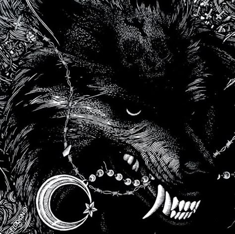 girl-in-the attic Florian Bertmer Art, Florian Bertmer, Werewolf Aesthetic, Pfp Ideas, Wolf Art, Story Instagram, Black Aesthetic, The Words, Dark Art