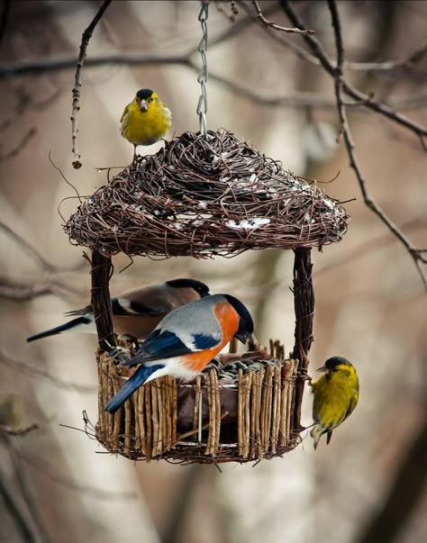 Bird Feeder Craft, Blue Deck, Homemade Bird Houses, Bird Houses Ideas Diy, Garden Art Ideas, Bird Bath Garden, Decorative Bird Houses, Garden Crafts Diy, Vintage Garden Decor