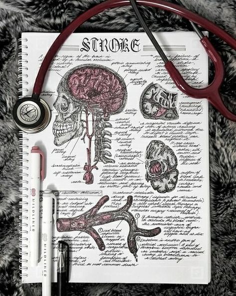 Medical Drawings, Medicine Notes, Medical School Life, Medicine Studies, Med School Motivation, Medical Student Study, 일본 패션, Education Positive, Medical School Motivation