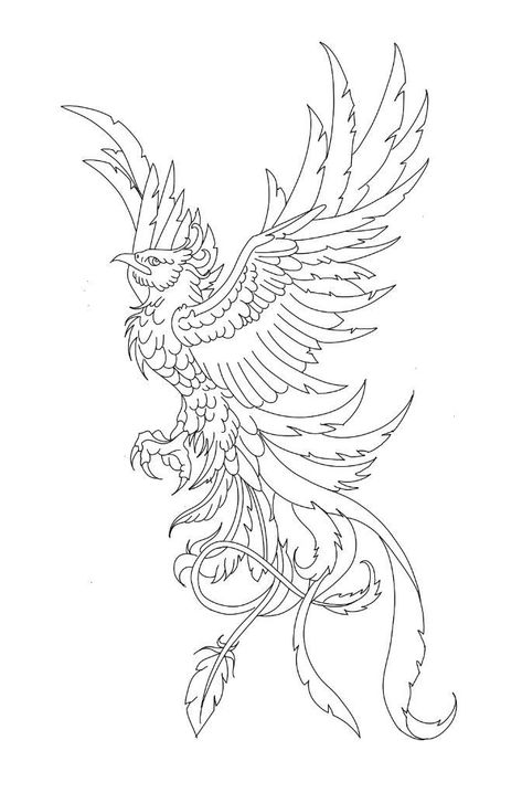 Ghoghnoos Tattoo, Phonex Tattoo Drawings, Dragon Outline Drawing, Fenix Tattoo Design, Phonex Tattoo, Phoenix Outline, Simbols Tattoo, Tato Phoenix, Beautiful Spine Tattoos