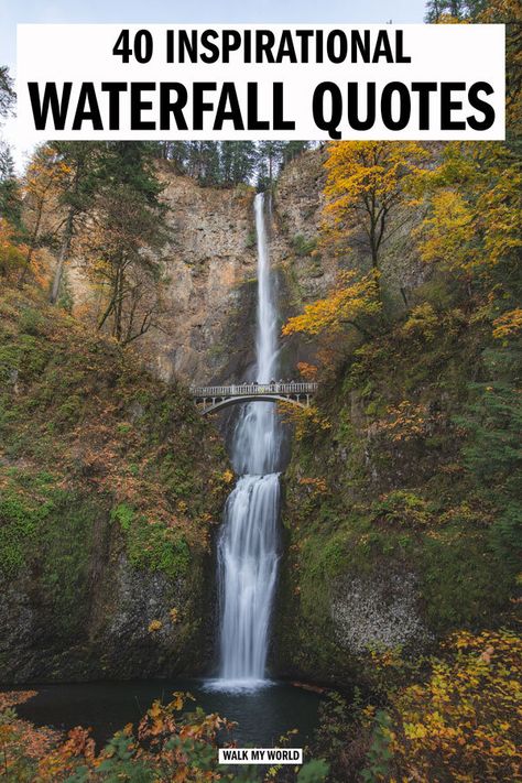 40 beautiful waterfalls quotes for anyone who can’t get enough of chasing waterfalls! Whether you’re looking for inspiration, something to sum up that feeling they give you, or your next Instagram caption, we’ve got you covered. #Waterfalls #WaterfallQuotes Waterfall Quotes, Chasing Waterfalls, Best Travel Quotes, Couple Travel, Travel Books, Travel Quotes Inspirational, Quotes To Inspire, Adventure Quotes, Sum Up