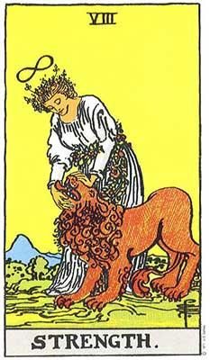 Strength Meaning - Major Arcana Tarot Card Meanings – Labyrinthos Strength Tarot Card, Kartu Tarot, Strength Tarot, Tarot Horoscope, Tarot Significado, Major Arcana Cards, Rider Waite Tarot, Tarot Major Arcana, Daily Tarot