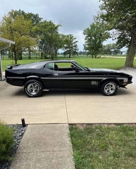 1972 Ford Mustang, 1970 Mach 1 Mustang, 1973 Mustang Mach 1, 1980 Mustang, 1971 Mustang Mach 1, 1970 Mach 1, 1971 Mustang, Mach 1 Mustang, 1979 Ford Mustang