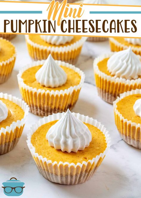 These Easy Mini Pumpkin Cheesecakes are delicious little individual bites of pumpkin-spiced cheesecakes with a graham cracker crust! Pumpkin Cheesecakes, The Novice Chef, Pumpkin Pie Spice Recipe, Novice Chef, Pie Spice Recipe, Mini Pumpkin Cheesecake, Mini Cheesecake Recipes, Pumpkin Pie Cheesecake, Pumpkin Cheesecake Recipes