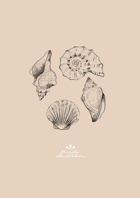 Nautalis Shell Tattoo, Sea Shell Tattoo Design, Tattoo Ideas Ocean Theme, Seashell Tattoo Design, Fine Line Shell Tattoo, Tattoo Ocean Theme, Sea Shell Tattoos, Simple Seashell Tattoo, Sea Shells Tattoo