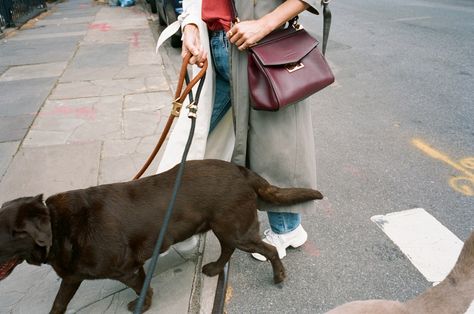 Givenchy’s Mystic bag, as worn by supermodel Carolyn Murphy | British Vogue Givenchy Mystic Bag, Nadja Auermann, Carolyn Murphy, Vogue Archive, Chocolate Labrador, Elevated Basics, Checked Blazer, Summer Fashion Outfits, Oversized Sweater