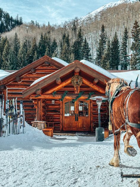 Aspen At Christmas, Aspen Trip, Colorado Aesthetic, Snowmass Colorado, Mountain Photoshoot, Aspen Snowmass, Aspen Art, Oyster House, Rustic Restaurant