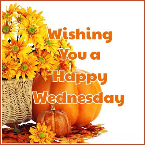 Happy Wednesday Autumn, Happy Wednesday Fall, Wednesday Fall, Wednesday Morning Greetings, Wednesday Hump Day, Happy Wednesday Images, Good Morning Friday Images, Wednesday Greetings, Wednesday Wishes