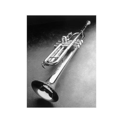 Trumpet Painting, Trumpet Instrument, Silver Trumpet, Instruments Art, Electric Violin, Brass Instruments, Guitar Photography, Trumpets, Online Wall Art