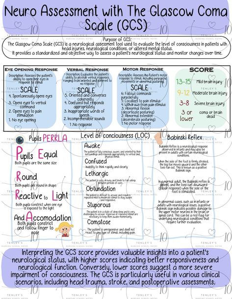 Neuro Assessment, Assessment Nursing, Glasgow Coma Scale, Levels Of Consciousness, Assessment Tools, School Notes, Glasgow, Assessment, Nursing